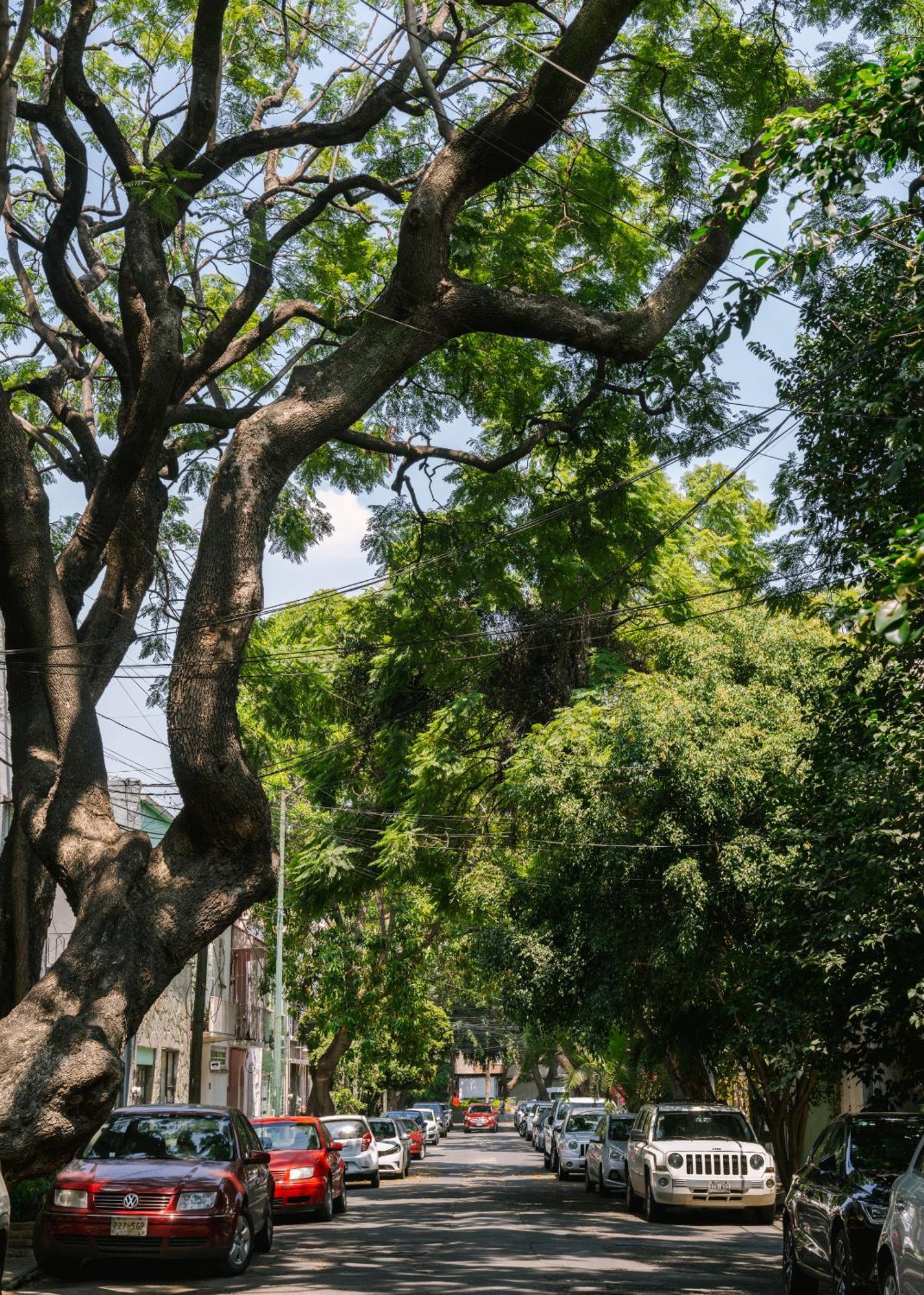 Sonder Miravalle Mexiko-Stadt Exterior foto
